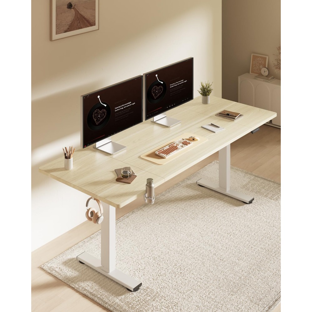 مكتب كهربائي قابل للوقوف من FL - مراجعة Desk Setup In Office وسعره